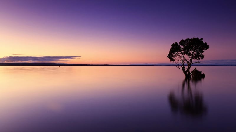 Sunset Photo